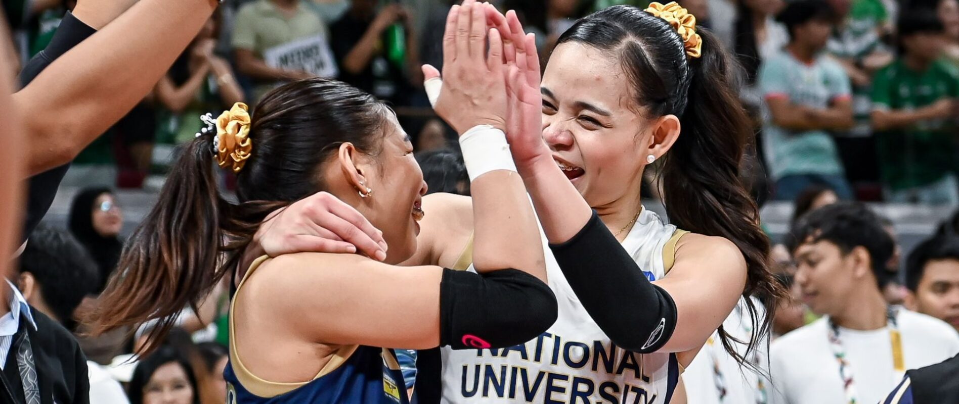 Banner image