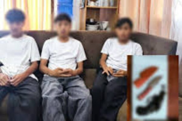 Banner image
