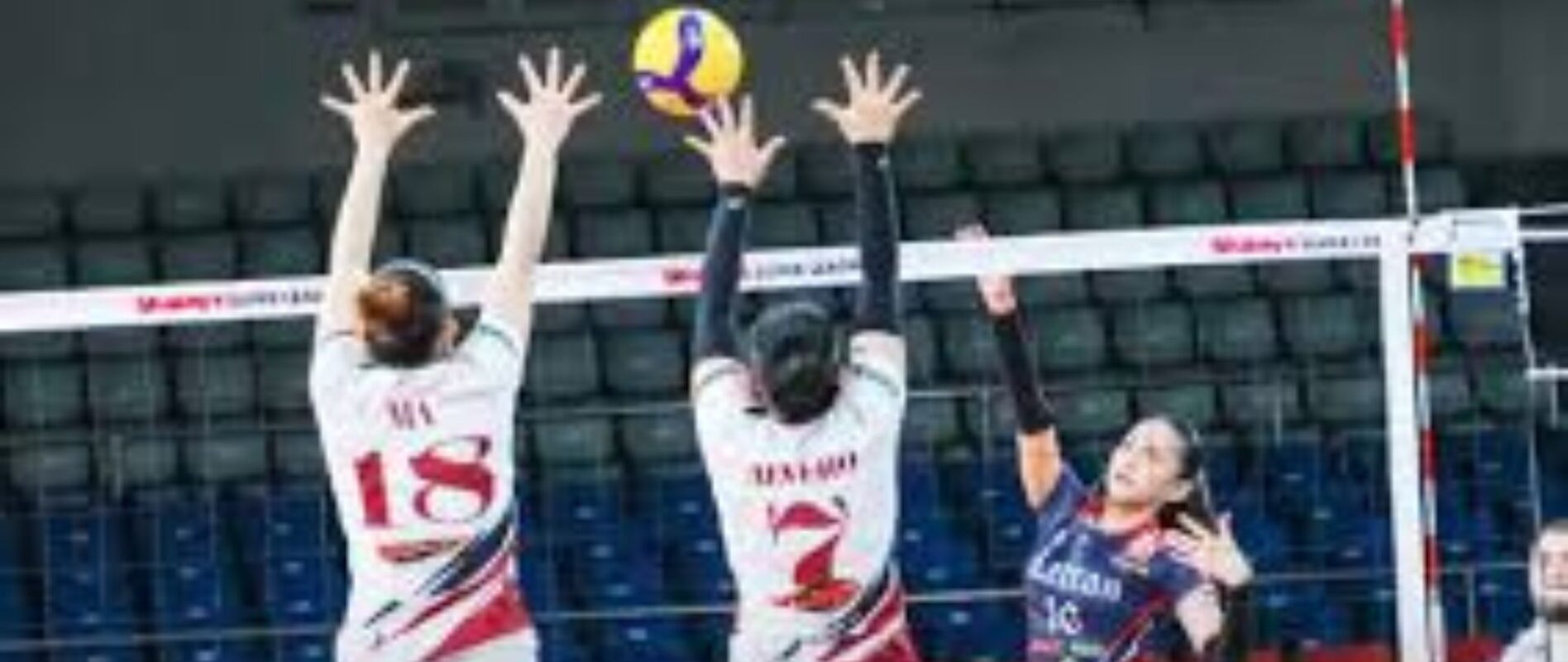 Banner image