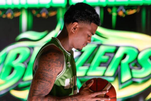 Banner image
